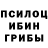 Галлюциногенные грибы Magic Shrooms ne estas